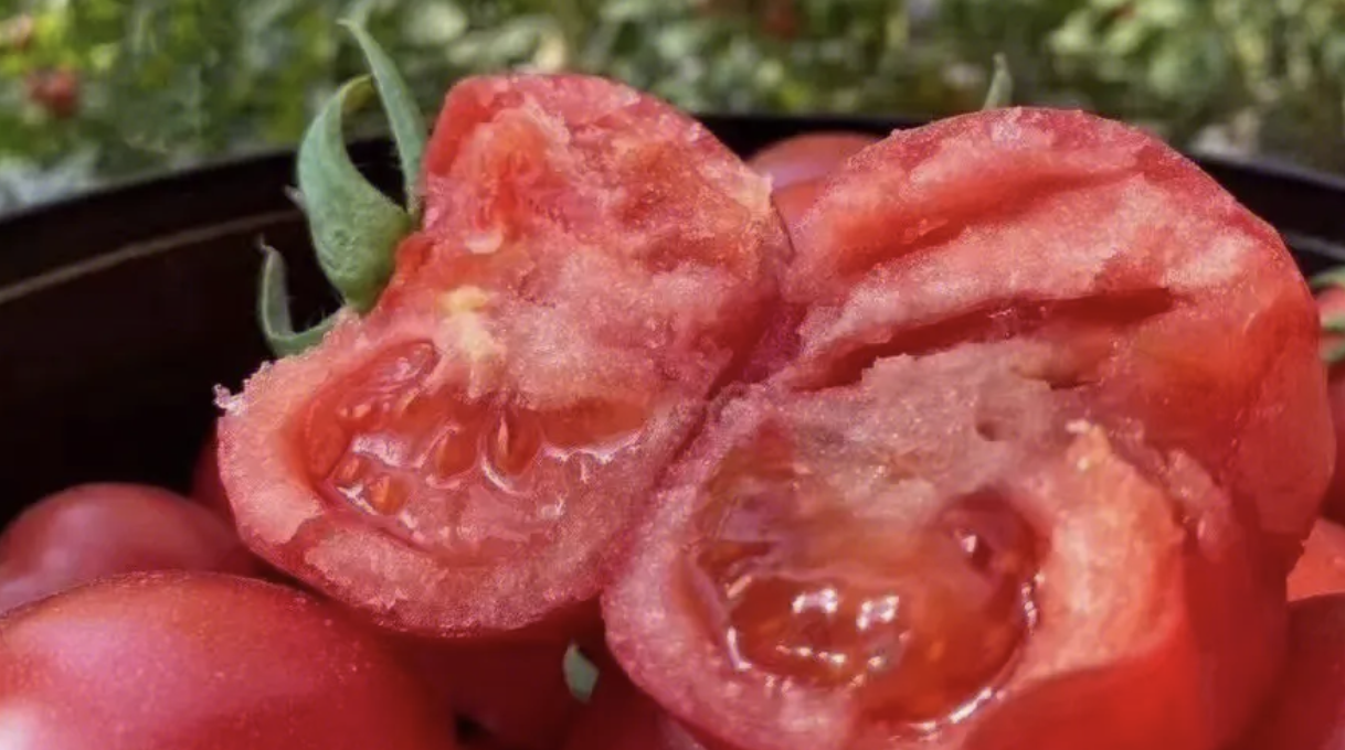 【庄料晚8点】如果说普罗旺斯西红柿是小时候的味道，还有哪些是你记忆中的美食？【230319】