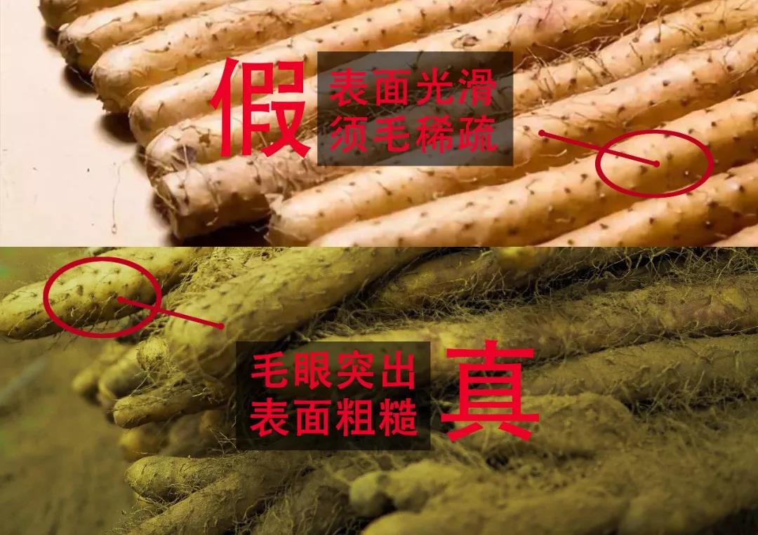 吃怀山药好处多,却是真真假假分不清