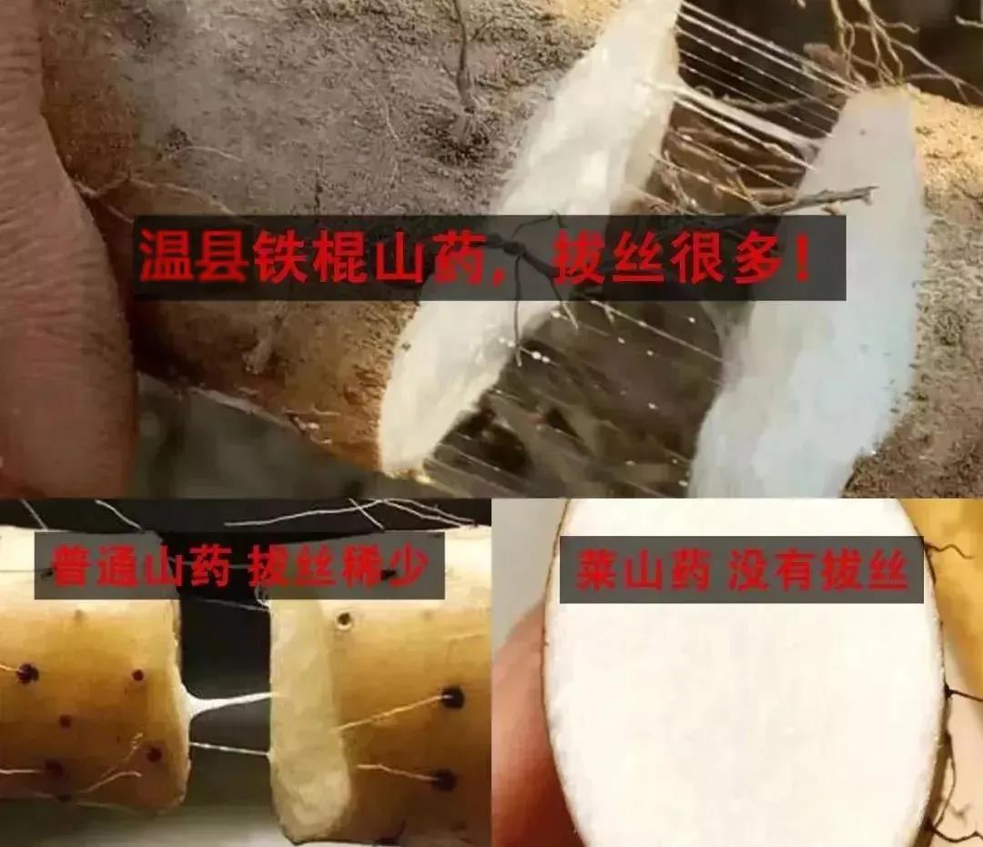 山药"拔丝"越多,营养越丰富,市场上的假铁棍山药由于含水分多,十分的