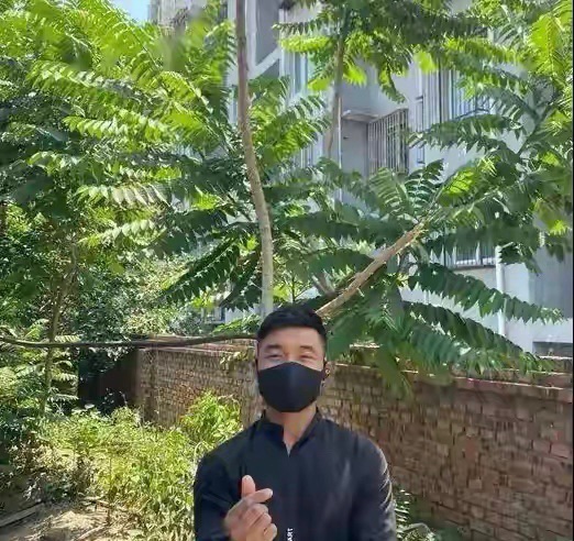 河北小伙刘阿楠:拒绝400万年薪,靠捡废品实现财务自由